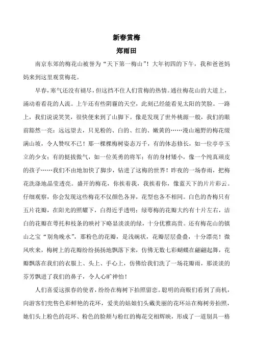新春赏梅