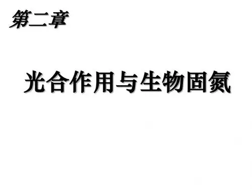 高三生物光合作用与生物固氮