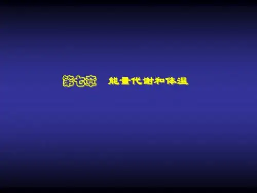 (7)能量代谢和体温