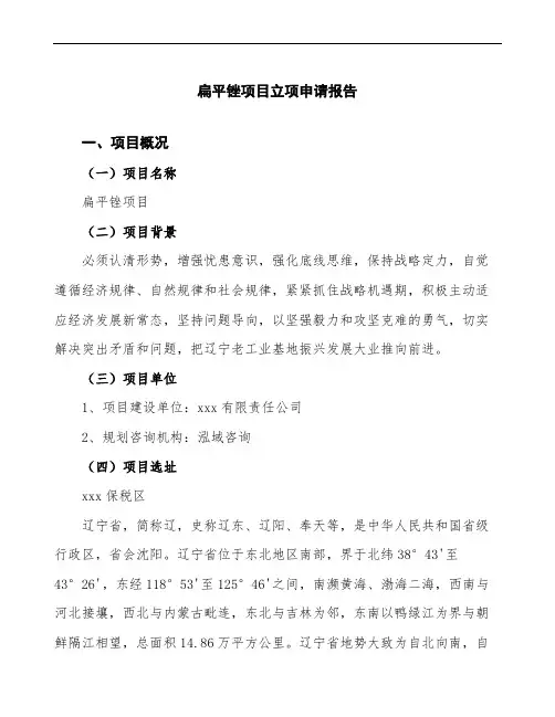扁平锉项目立项申请报告(模板可编辑)