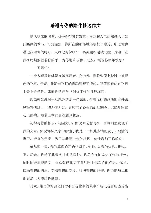 感谢有你的陪伴精选作文