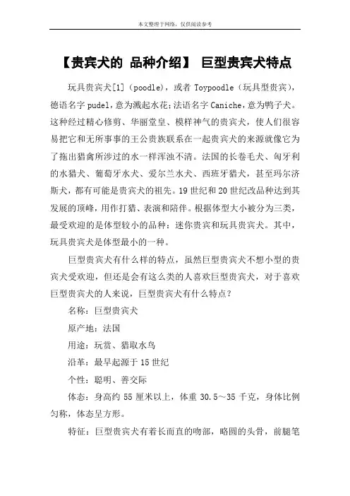 【贵宾犬的 品种介绍】 巨型贵宾犬特点