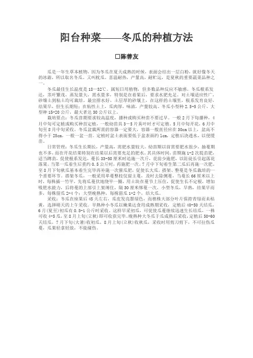 阳台种菜 ,  冬瓜的种植方法