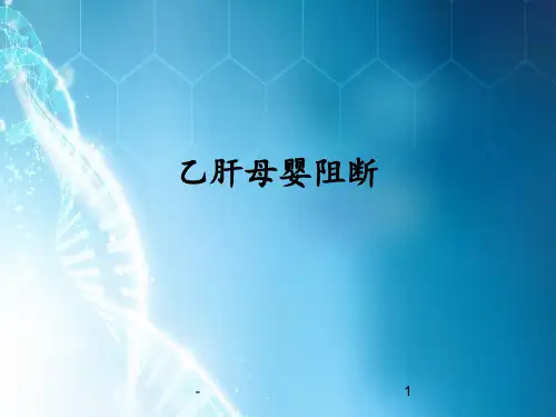 乙肝母婴阻断ppt课件
