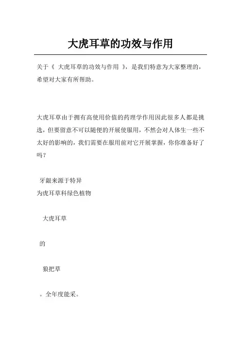 大虎耳草的功效与作用