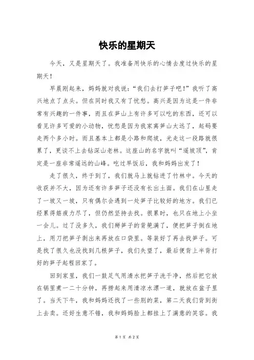 快乐的星期天_初二作文
