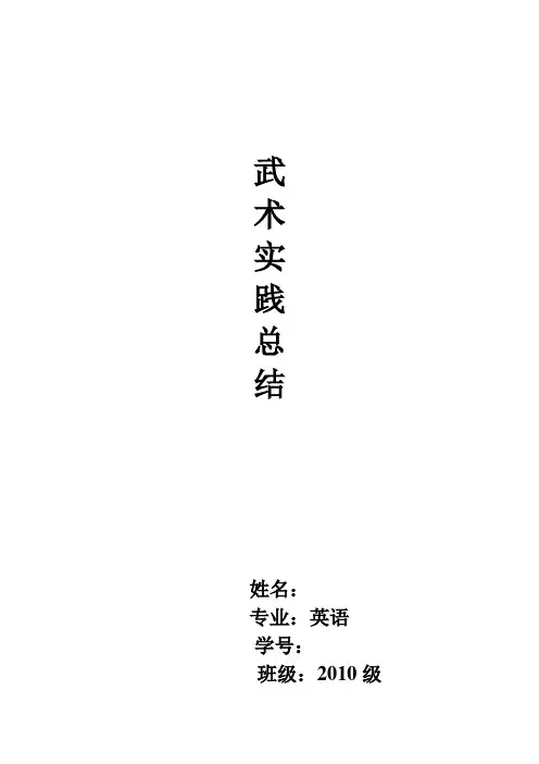 武术实践总结