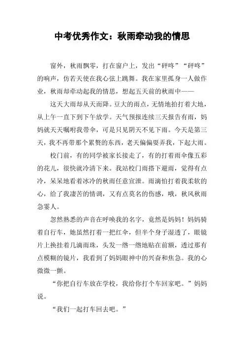 中考优秀作文：秋雨牵动我的情思