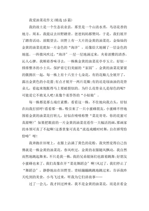 中小学我爱油菜花作文(精选15篇)
