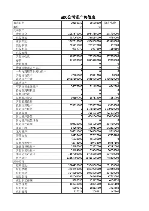 资产负债表(模板)