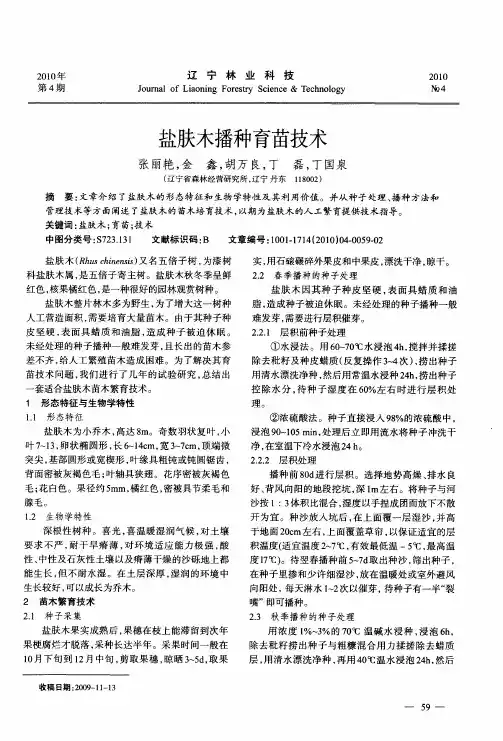 盐肤木播种育苗技术