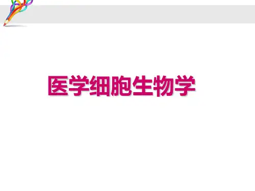 医学细胞生物学--概论 ppt课件