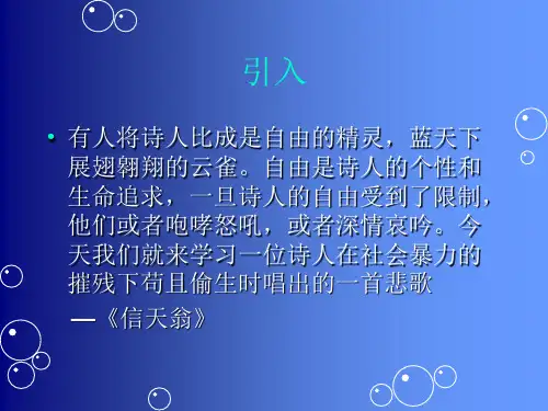 信天翁