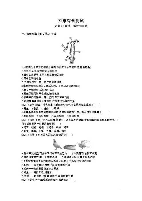 人教版八年级生物上册期末综合测试(含答案)