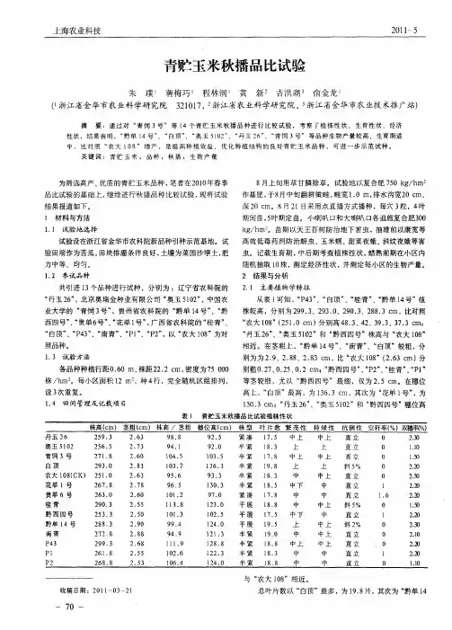 青贮玉米秋播品比试验