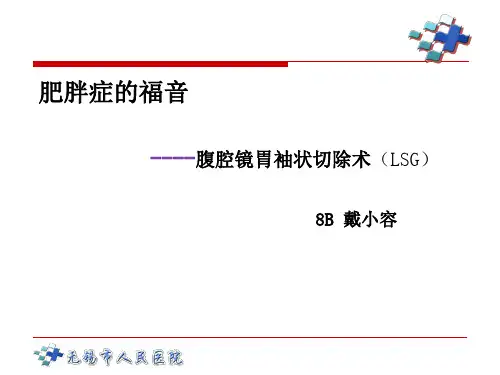 腹腔镜下袖状胃切除术  ppt