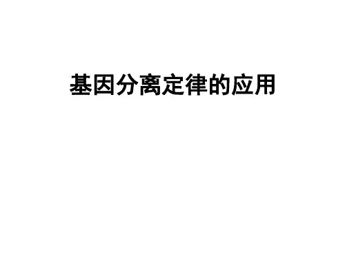 1.1.3孟德尔豌豆杂交实验一(第三课时)