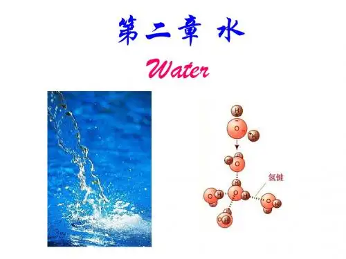 2水1(09.09.13)