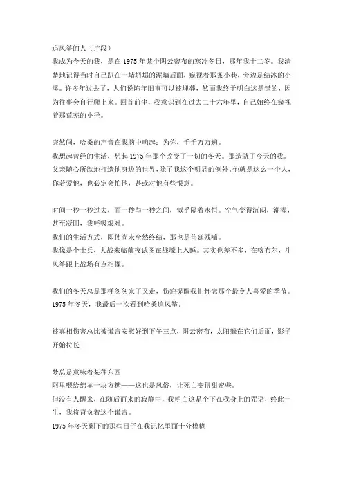 追风筝的人(片段)