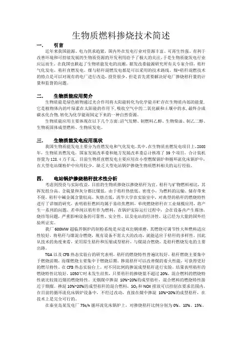 电站锅炉生物质燃料掺烧技术简述