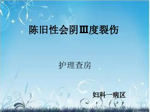 陈旧性会阴裂伤MicrosoftPowerPoint幻灯片