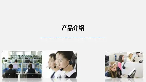 呼叫中心-功能介绍 PPT