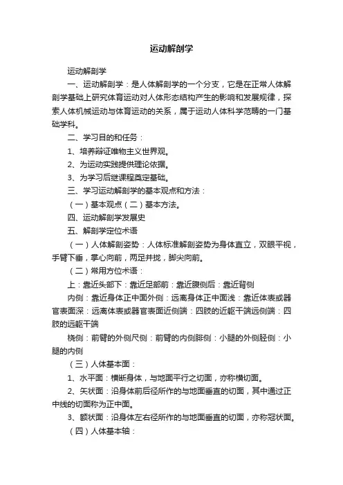 运动解剖学
