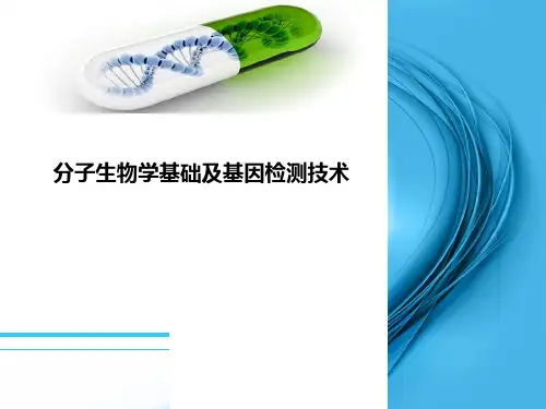 分子生物学基础及基因检测技术