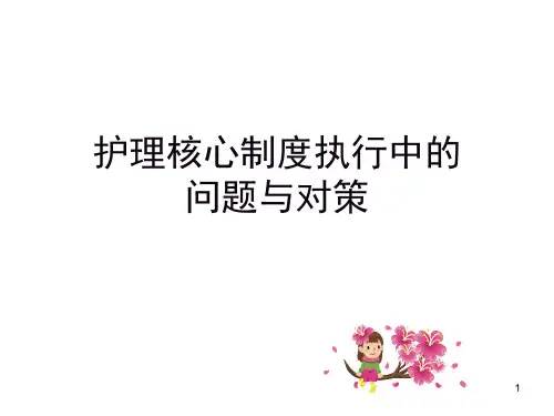 护理核心制度执行中的问题与对策ppt课件