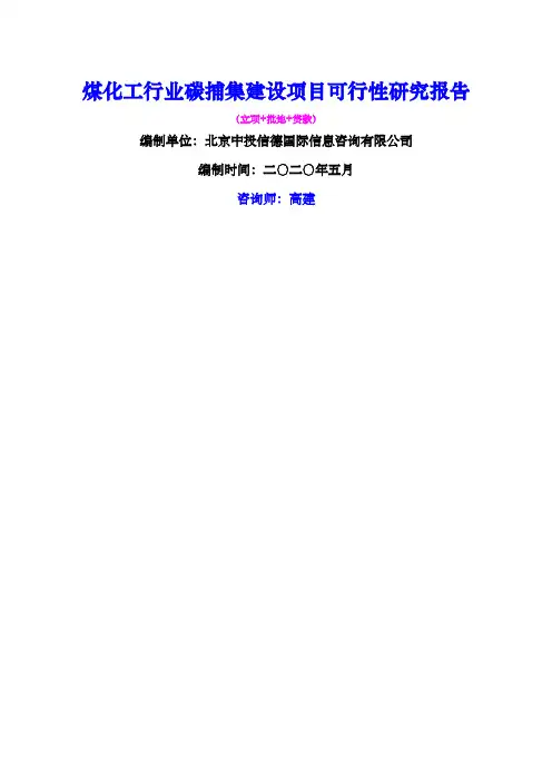 煤化工行业碳捕集建设项目可行性研究报告