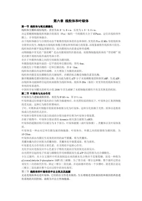 细胞工程第六章知识概要