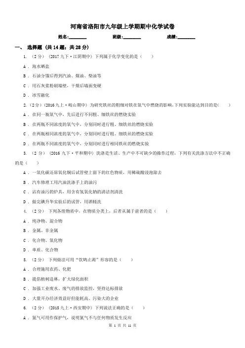 河南省洛阳市九年级上学期期中化学试卷
