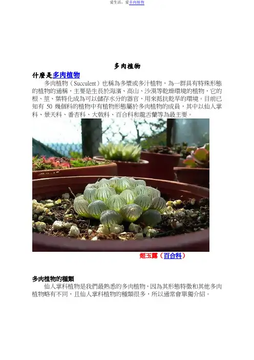 多肉植物简介及种植养护