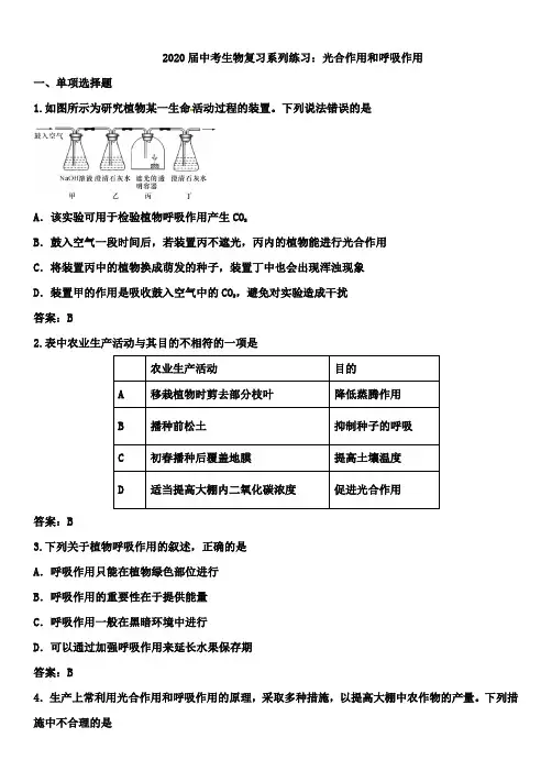 2020届中考生物复习系列练习：光合作用和呼吸作用(含答案)