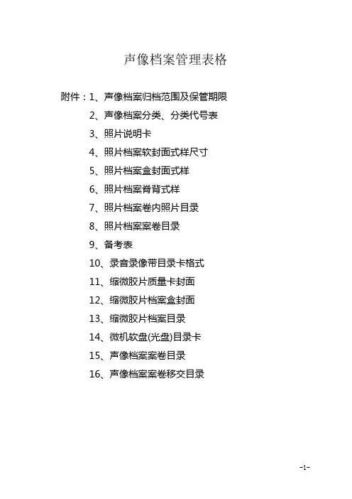 集团声像档案管理表格