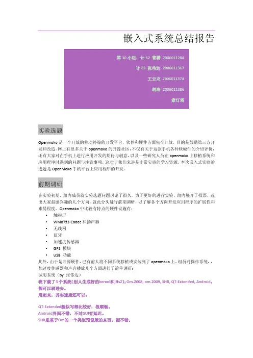 嵌入式系统总结报告