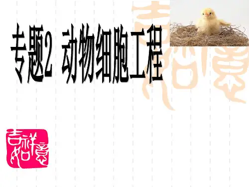 2.2.1-2动物细胞工程