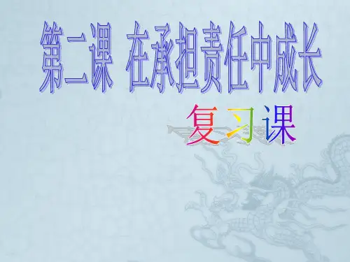 九年级政治第二课复习课件人教版