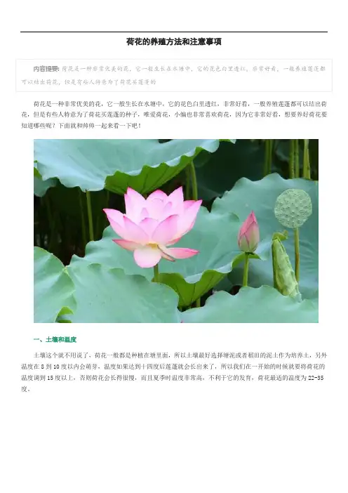 荷花的养殖方法和注意事项 2