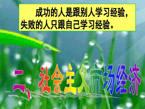 人教版高中政治必修一经济生活9.2社会主义市场经济(共24张PPT)