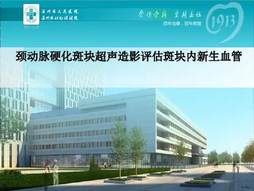 颈动脉硬化斑块超声造影评估斑块内新生血管PPT课件