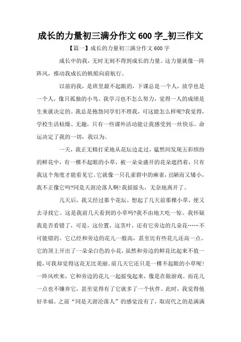 成长的力量初三满分作文600字_初三作文