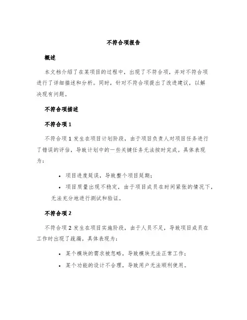 不符合项报告
