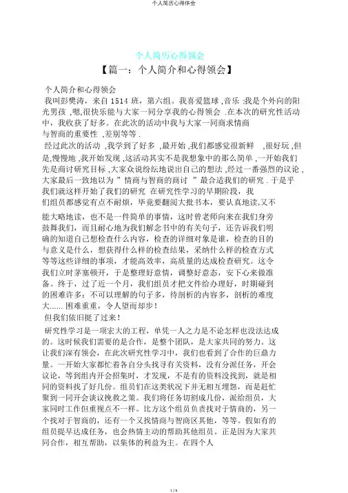 个人简历心得体会