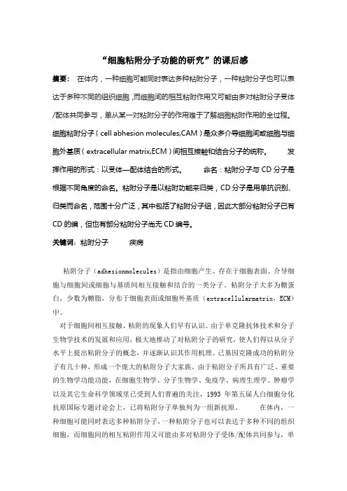 细胞粘附分子功能的研究