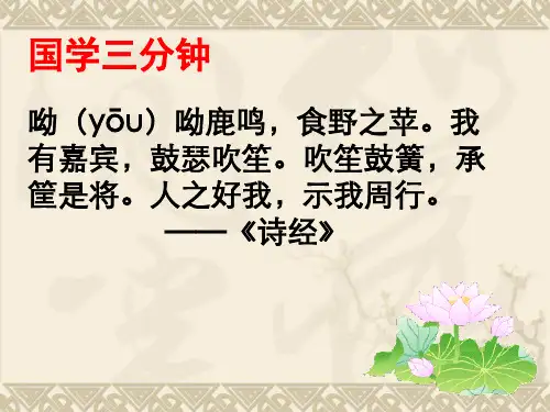 15白鹅