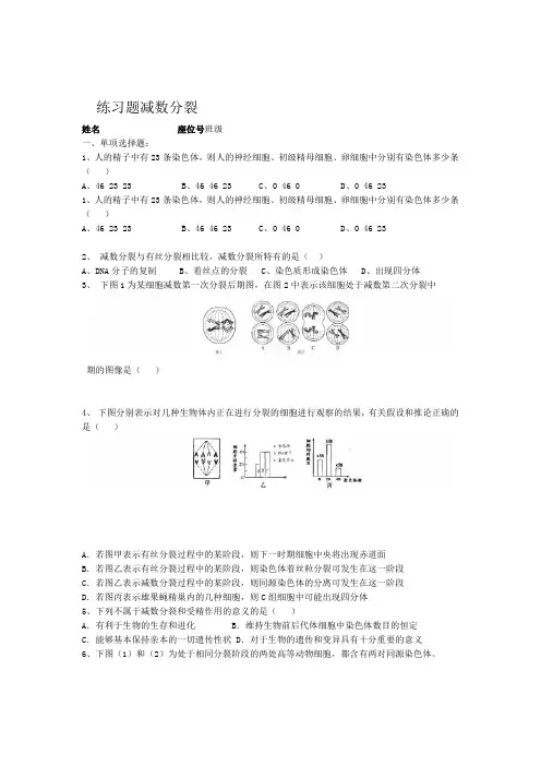减数分裂练习题带答案