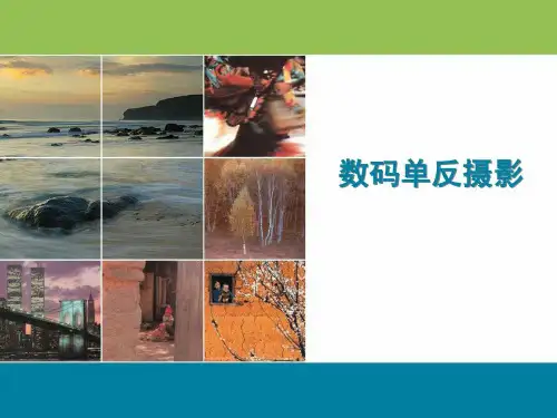数码单反摄影技巧大讲堂--曝光补偿_广告传媒_人文社科_PPT专区