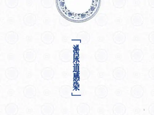 泌尿道感染护理查房ppt课件