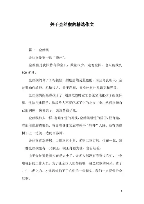 关于金丝猴的精选作文